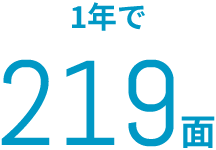 1年で219面