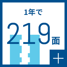 1年で219面